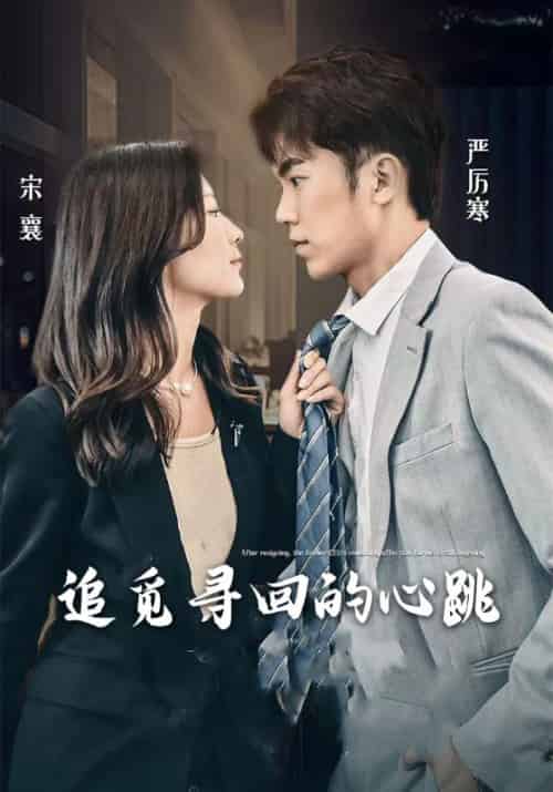 追觅寻回的心跳（100集全）严厉寒＆宋襄-初遇资源网