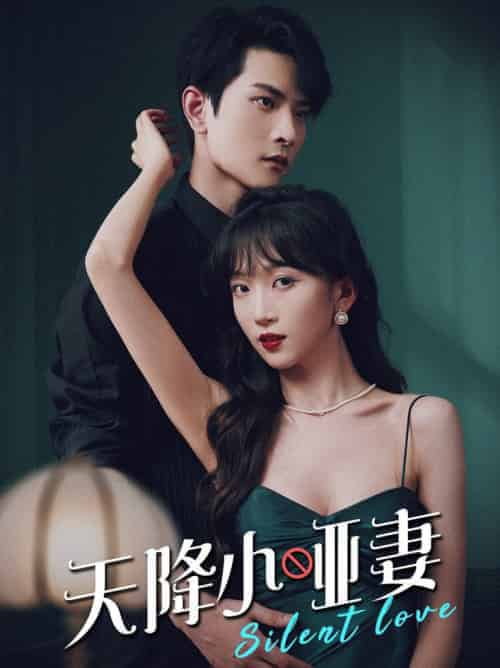 天降小哑妻(80集全)-初遇资源网