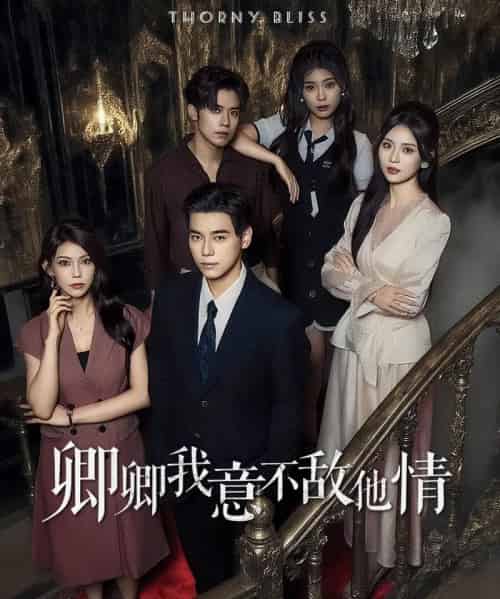 卿卿我意不敌他情（80集全）王倩倩＆袁志颖-初遇资源网