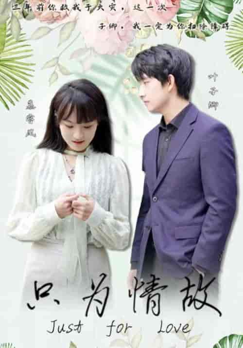 只为情故（100集全）叶子卿＆慕容凤-初遇资源网