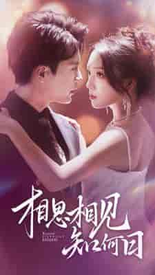 相思相见知何日(81集)-初遇资源网
