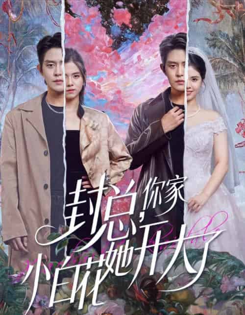 封总，你家小白花她开大了＆大佬你的牙粘口红了（60集全）王朝阳＆邓燕妮-初遇资源网