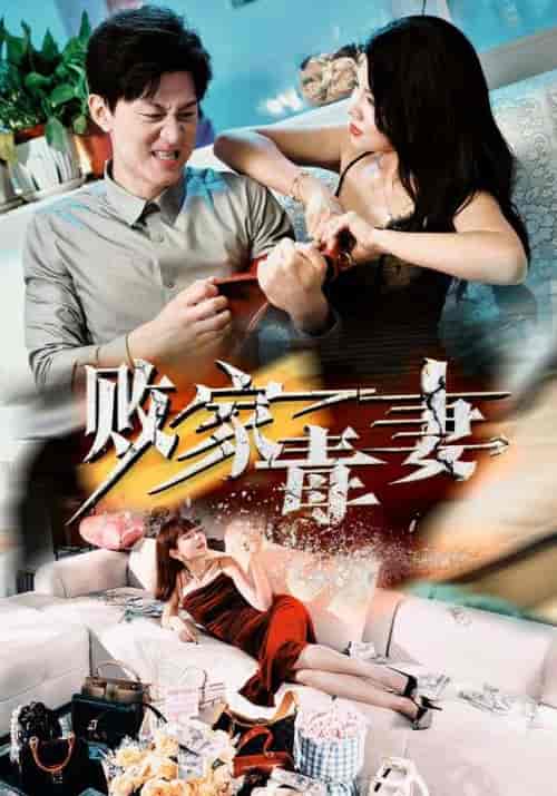 败家毒妻（32集全）汪天予-初遇资源网