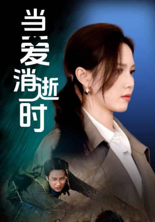 当爱消逝时（53集全）吴昊＆陈舒琪-初遇资源网