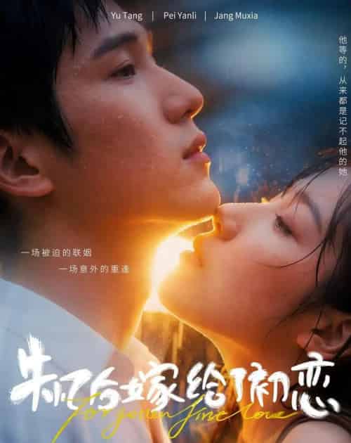 失忆后嫁给了初恋（10集全）AI-初遇资源网