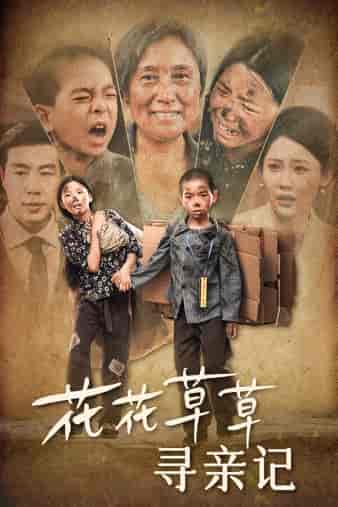 花花草草寻亲记（42集）-初遇资源网