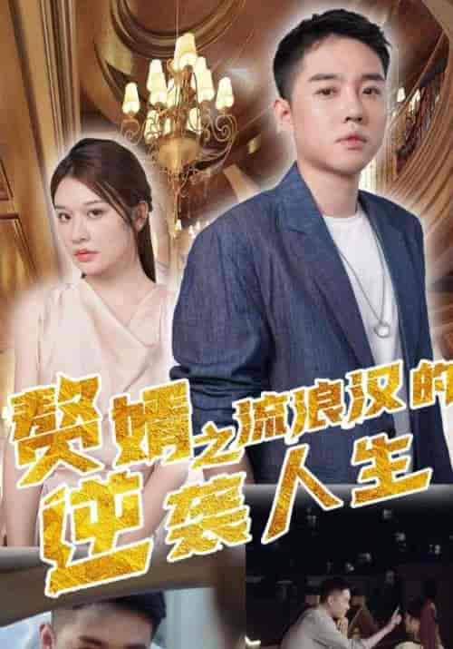 赘婿之流浪汉的逆袭人生（90集全）沐易安＆陆曦曦-初遇资源网