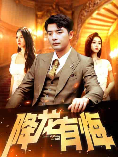 降龙有悔（102集全）叶天＆唐若雪-初遇资源网