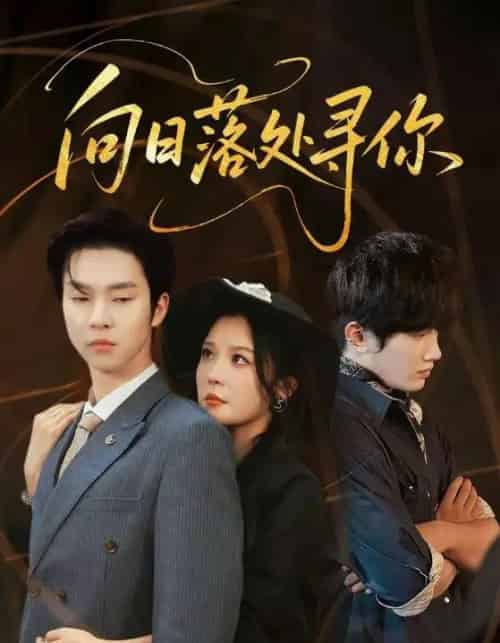 向日落处寻你（70集全）李明＆邓嘉伦-初遇资源网