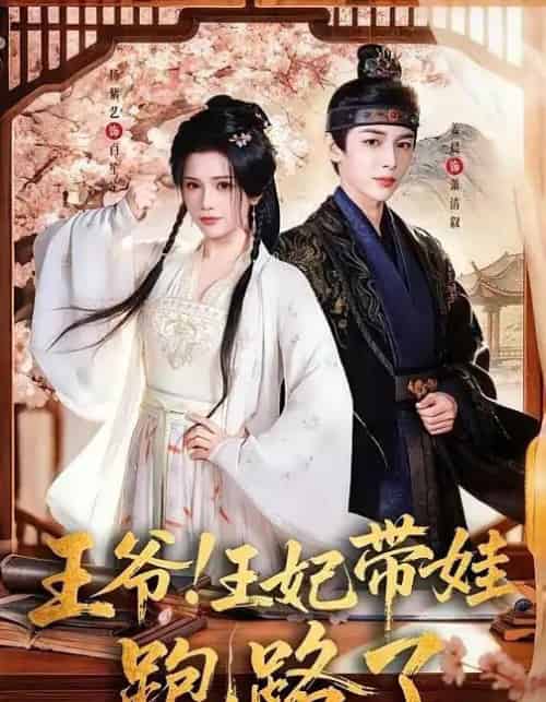 王爷,王妃又来偷娃了&王爷!王妃带娃跑路了(62集全)姜晨&杨紫艺-初遇资源网