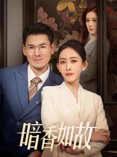 暗香如故(70集全)-初遇资源网