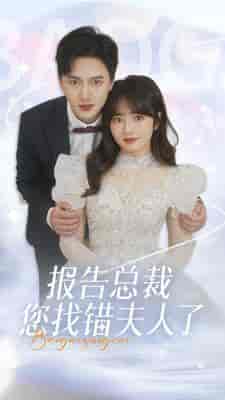 报告总裁您找错夫人了（93集）-初遇资源网