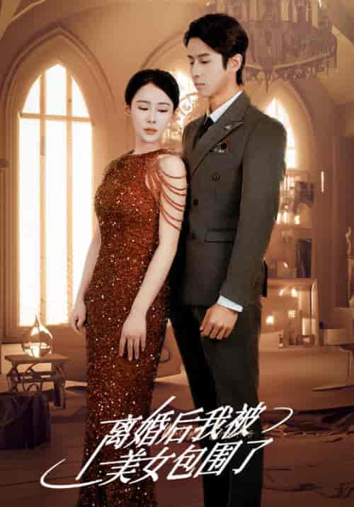 离婚后,我被美女包围了(98集全)叶云州&柳嫣然-初遇资源网