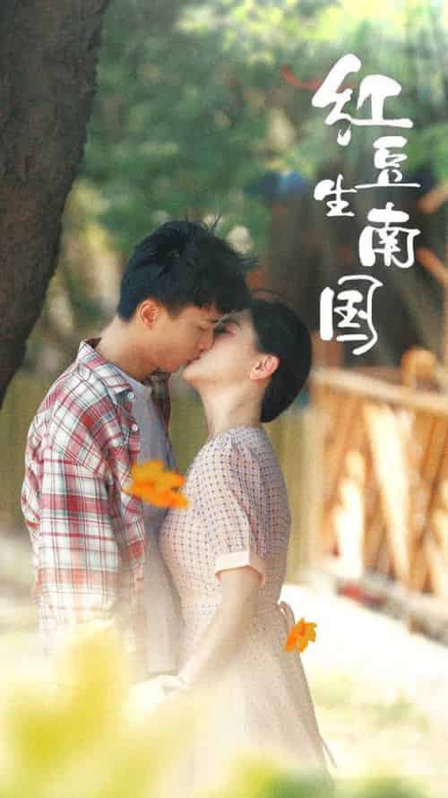 红豆生南国（53集全）常丹丹-初遇资源网