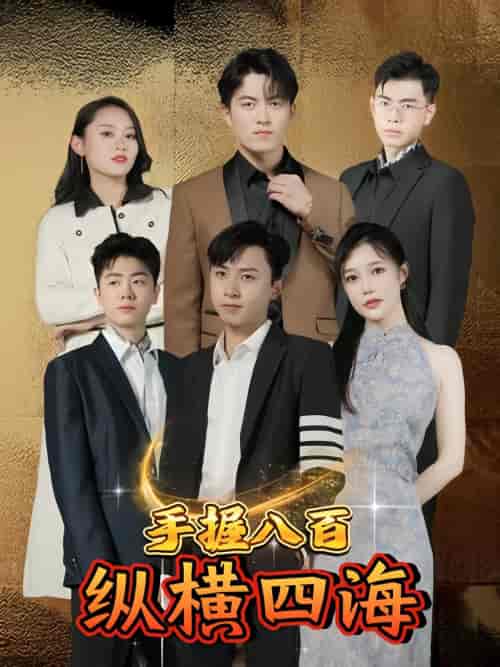 手握八百纵横四海（93集）-初遇资源网
