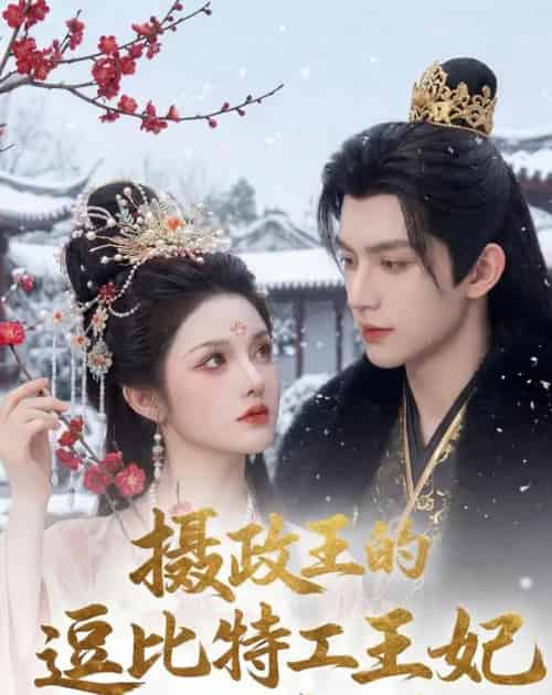 摄政王的逗比特工王妃又闯祸了(78集全)AI-初遇资源网