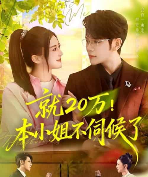就20万！本小姐不伺候了（60集全）杨彦光＆李家圆子-初遇资源网