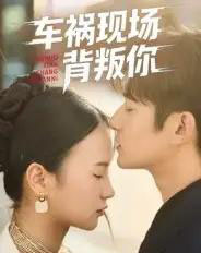 车祸现场背叛你(37集全)高广泽&芊翊-初遇资源网