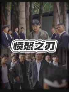 愤怒之刃（35集全）-初遇资源网