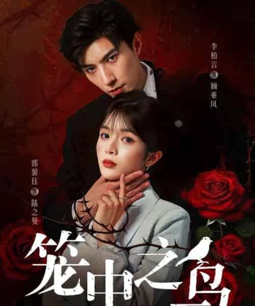 笼中之鸟（70集）李柏言＆郭馨钰-初遇资源网