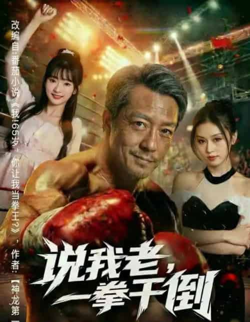 说我老，一拳干倒（81集全）李宗峄＆金美希-初遇资源网