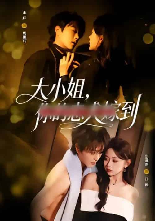 大小姐，你的忠犬嫁到（80集全）王轩＆刘蓝鸽-初遇资源网