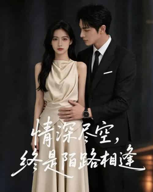 情深尽空，终是陌路相逢（52集全）AI-初遇资源网