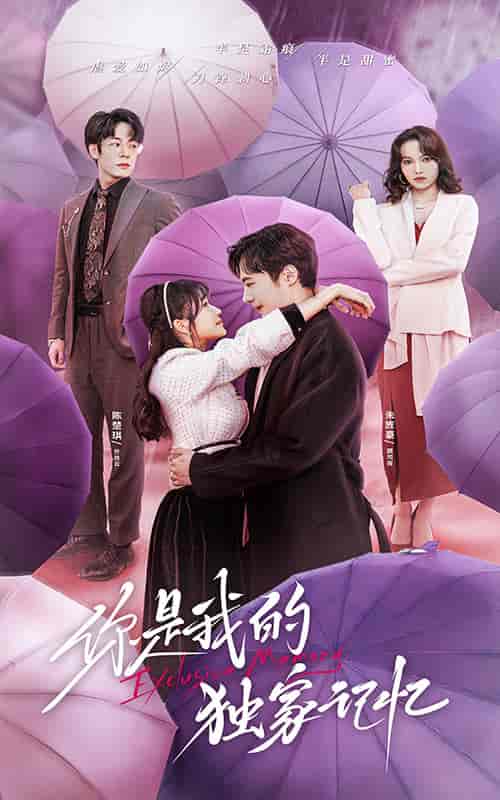 你是我的独家记忆(72集)-初遇资源网