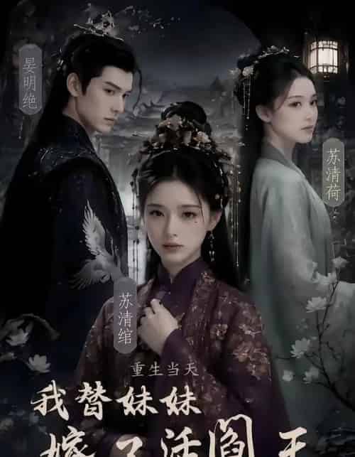 重生当天,我替妹妹嫁了活阎王 重生当天,我替妹妹嫁了活阎王