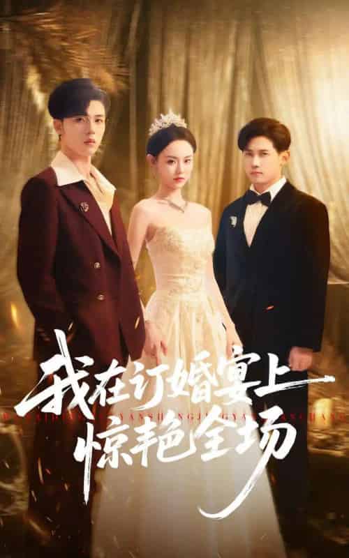 我在订婚宴上惊艳全场(50集全)刘安歌&郑铂瀚-初遇资源网
