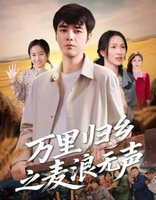 万里归乡之麦浪无声（61集全）朱碧漪＆董星辰-初遇资源网