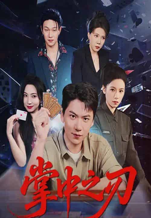 掌中之刃(57集全)尚青云&秦潇一-初遇资源网