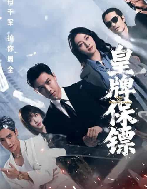 皇牌保镖(66集全)蒋亚兰&许安泰&丘子健-初遇资源网