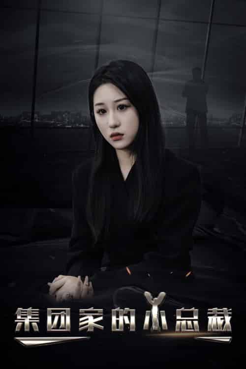 集全团家的小总裁（80集全）丁磊-初遇资源网