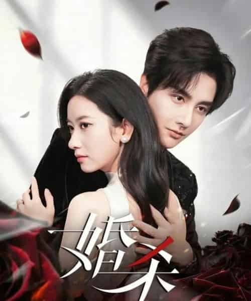 婚杀（60集全）林潇＆张张（张玉娇）-初遇资源网