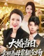 大婚当日，卖桃养母震翻全场（70集全）唐依迪＆卢静-初遇资源网