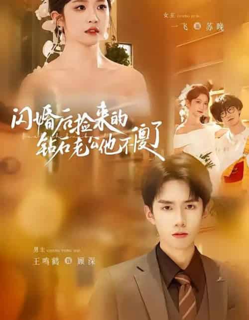 闪婚后捡来的钻石老公他不傻了（85集全）王鸣鹤＆一飞-初遇资源网