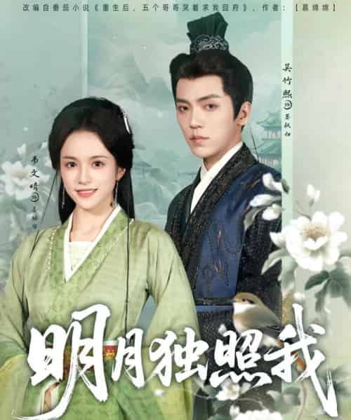 明月独照我(80集)吴竹熙&韦文晴-初遇资源网
