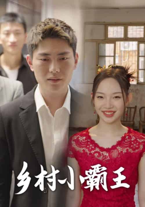 乡村小霸王（80集全）许东升＆高月-初遇资源网