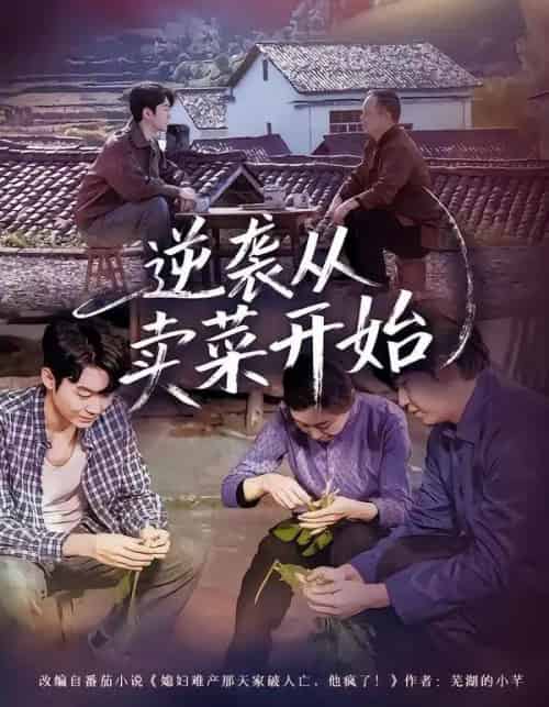 逆袭从卖菜开始（72集全）安嘉欣＆刘子轩-初遇资源网