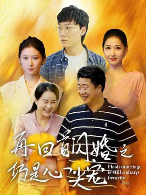 再回首闪婚之仍是心尖宠(36集全)-初遇资源网