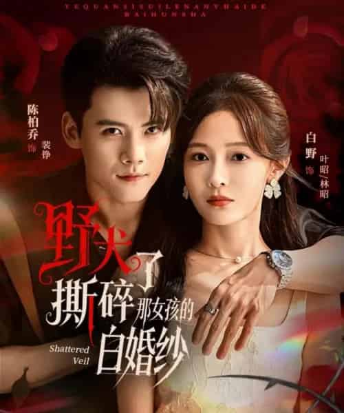 野犬撕碎了那女孩的白婚纱（78集全）陈刚＆白野-初遇资源网