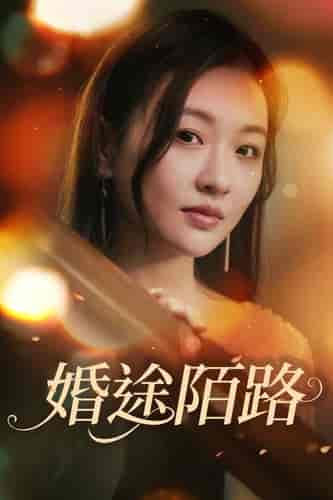 婚途陌路(15集)-初遇资源网