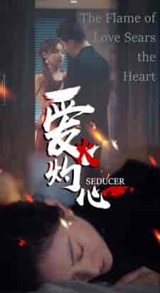 爱火灼心(99集)-初遇资源网