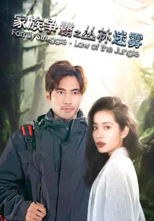 家族争霸之丛林迷雾(55集全)凌风&陈欣妍-初遇资源网