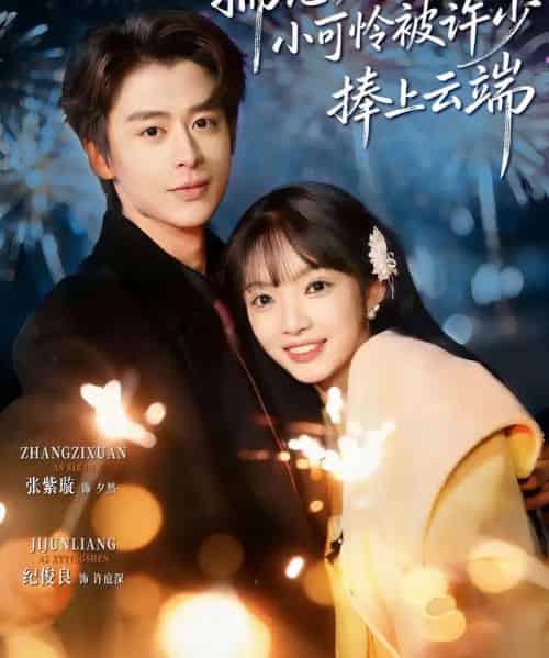 揣崽后，小可怜被许少捧上云端（81集全）纪俊良＆张紫璇-初遇资源网