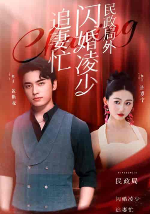 民政局外闪婚凌少追妻忙（94集全）凌斯夜＆许岁宁-初遇资源网