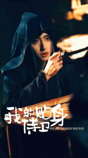 我的贴身侍卫（74集）-初遇资源网