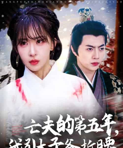 亡夫的第五年我引太子爷折腰(54集)房蕾&张磊-初遇资源网