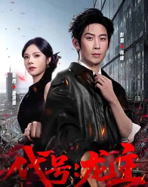 代号:龙主(70集全)彭羽&苏西-初遇资源网